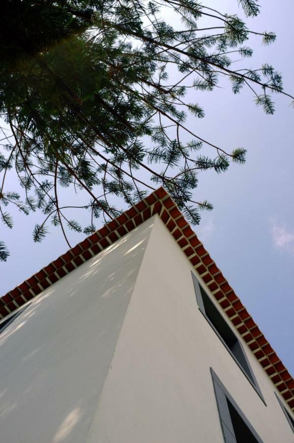 Casa Oliveira Esmeraldo - Guest Houses São Vicente Kültér fotó